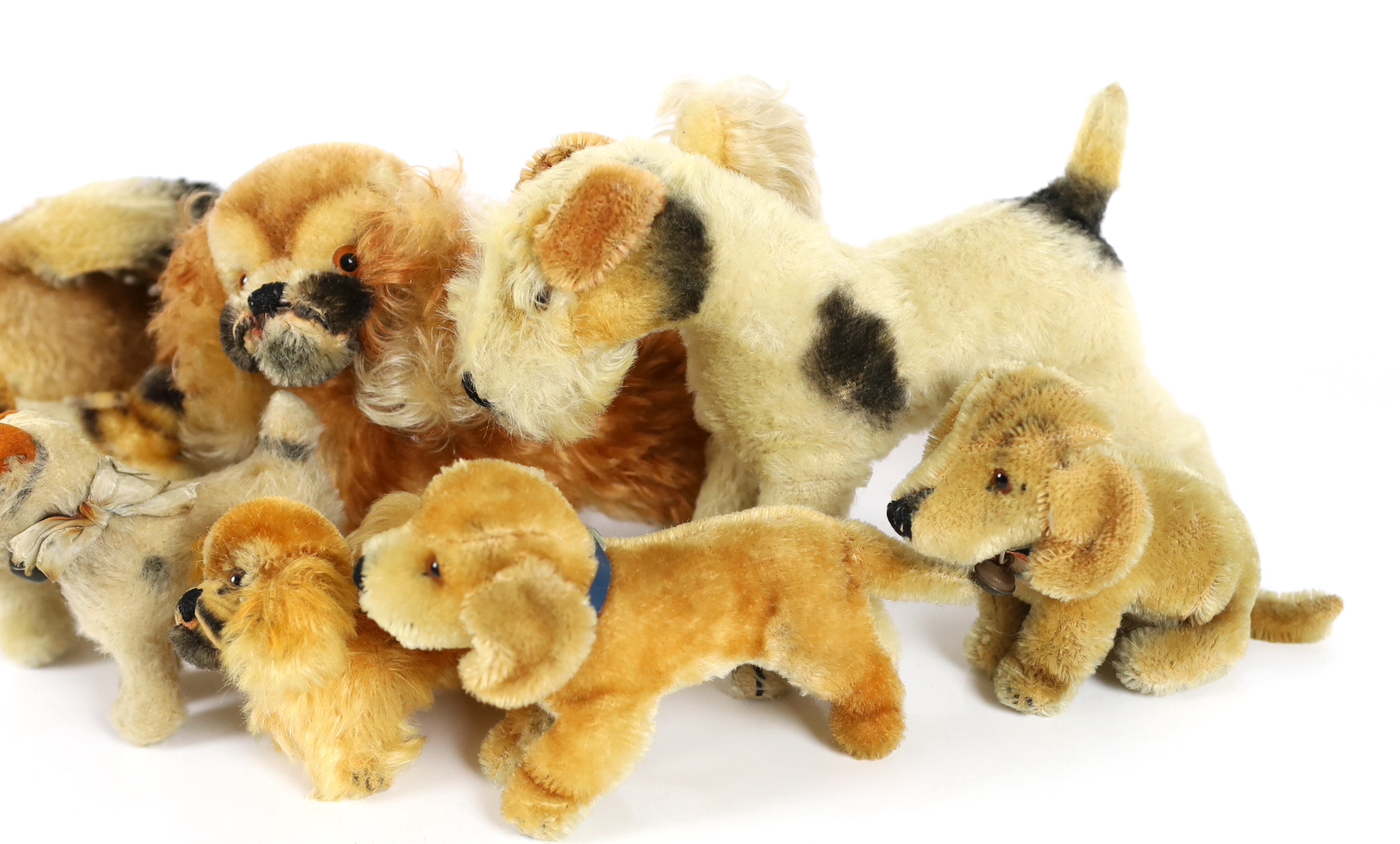 Nine 1950's Steiff dogs (9)